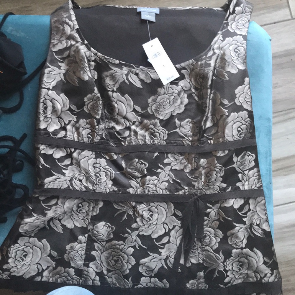 Ann Taylor Brown & Creme Top